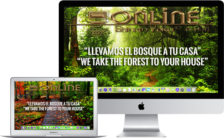 Curso Shinrin Yoku ONLINE